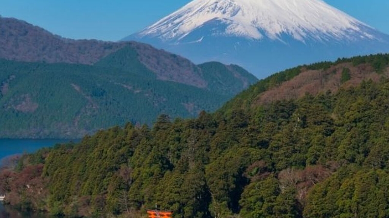 Comfort Japonya Turu - Etihad Hava Yolları ile 6 Gece - Koyo Dönemi Ekstra Turlar Dahil (NRT-KIX)