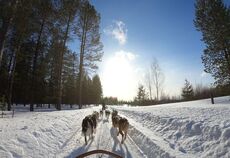 Dolu Dolu Lapland Turu Beyaz Rotalar THY ile