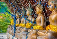 Elegant Sri Lanka Turu Air Arabia Havayolları ile 5 Gece (CMN-CMN) FL001