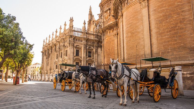 Büyük Endülüs Turu Sevilla & Granada Turu Pegasus ile