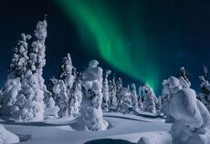 Tüm Turlar Dahil & Büyüleyici Kuzey Işıkları & Lapland Turu THY ile