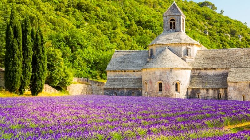 Bask Kıyılarından Provence Güneşine