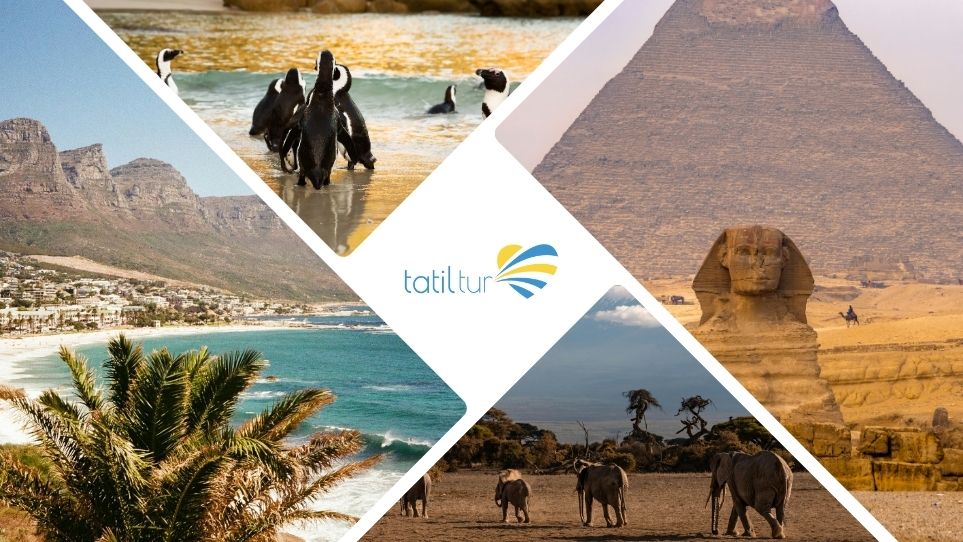 Egzotik Kıtada Macera: Unutulmaz Afrika Turları ve Safari Deneyimleri