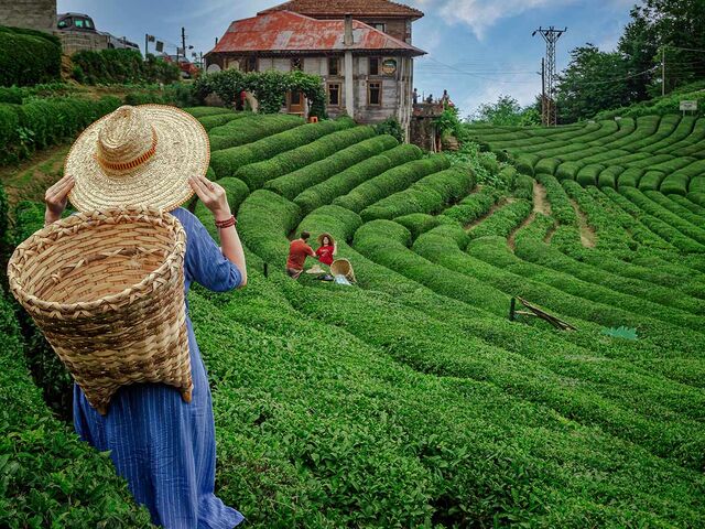 Ankara Çıkışlı Uçaklı Karadeniz Batum Tiflis Van Havzası Turu (6 Gece Konaklama)