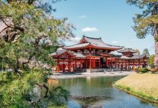 Elegant Japonya & Güney Kore Turu THY ile