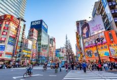 Comfort Japonya & Kore Turu Thy ile (Ekstra Turlar Dahil) Sakura Dönemi