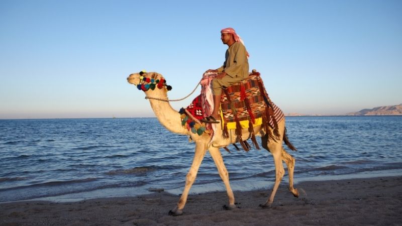 İstanbul Hareketli Sharm El Sheikh Turu Ajet ile
