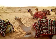 Çölün İncisi Dubai Turu Flydubai İle