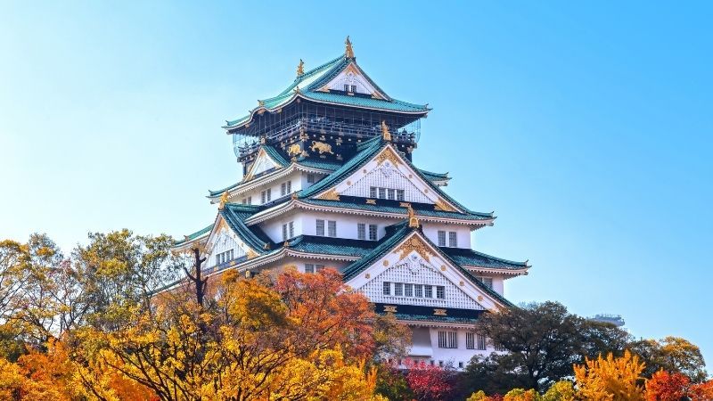 Japonya-Kore Turu Thy İle