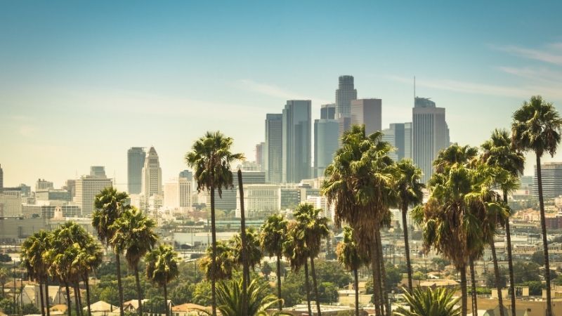 Dünya Kupası Özel Los Angeles Turu (Türkiye & Paraguay Maç Bileti Dahil) Thy ile