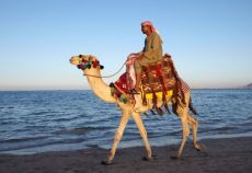 İstanbul Hareketli Sharm El Sheikh Turu Ajet ile