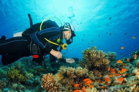 Ankara Çıkışlı Sharm El Sheikh Kahire Turu Ajet ile 4 Gece
