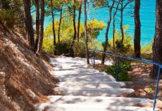 Samos Adası - 3 Gece 4 Gün