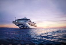 *** VİZESİZ * Diamond Princess ile Güneydoğu Asya & Japonya & Güney Kore**