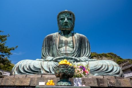 Comfort Japonya & Kore Turu THY ile 8 Gece (Ekstra Turlar) ve Çay Seremonisi Dahil