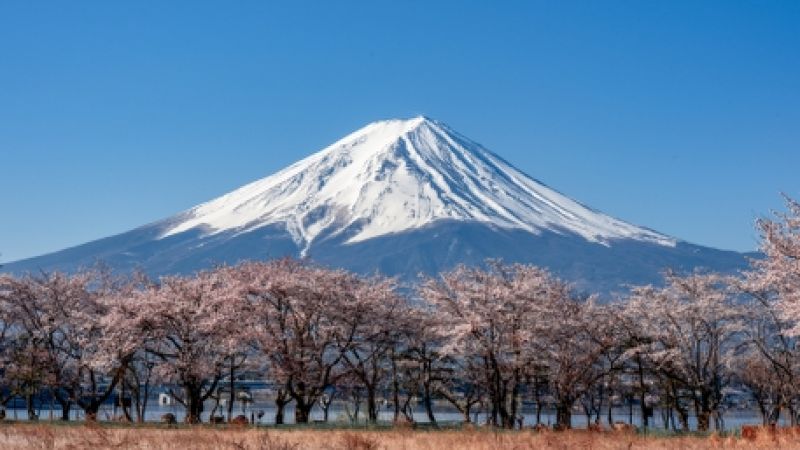Comfort Japonya & Kore Turu THY ile 8 Gece (Ekstra Turlar) ve Çay Seremonisi Dahil
