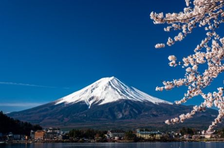 Comfort Japonya Turu THY ile 7 gece (Ekstra Turlar) ve Çay Seremonisi Dahil Yaz Dönemi - Akşam Dönüş Uçuşu