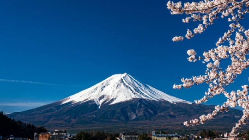Japonya Serüveni Turu THY ile 6 gece