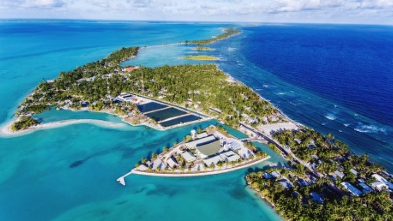 Yılbaşı Özel Miami & Orlando Turu Kıyı Rotaları Thy ile 5 Gece