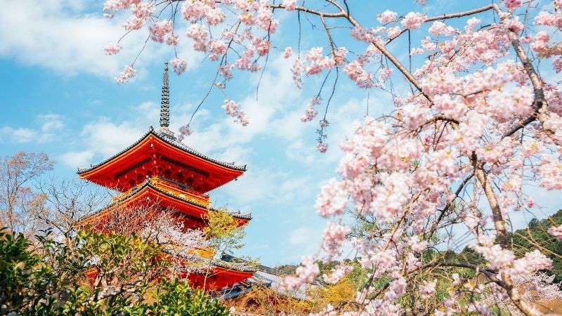 Elegant Japonya & Güney Kore Thy ile 7 Gece