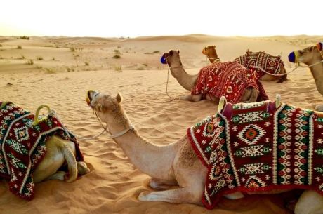 Çölün Ortasındaki Vaha: Prestij Dubai Turu Emirates ile 4 Gece