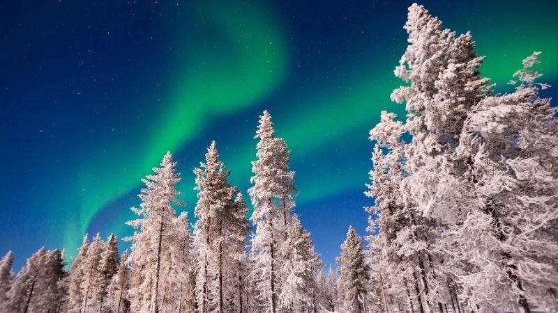 Süper Promo Lapland Turu Beyaz Rotalar (3 Gece - Mustaparta Hotel) 