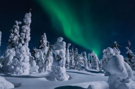 Süper Promo Lapland Turu Beyaz Rotalar (3 Gece - Mustaparta Hotel) 