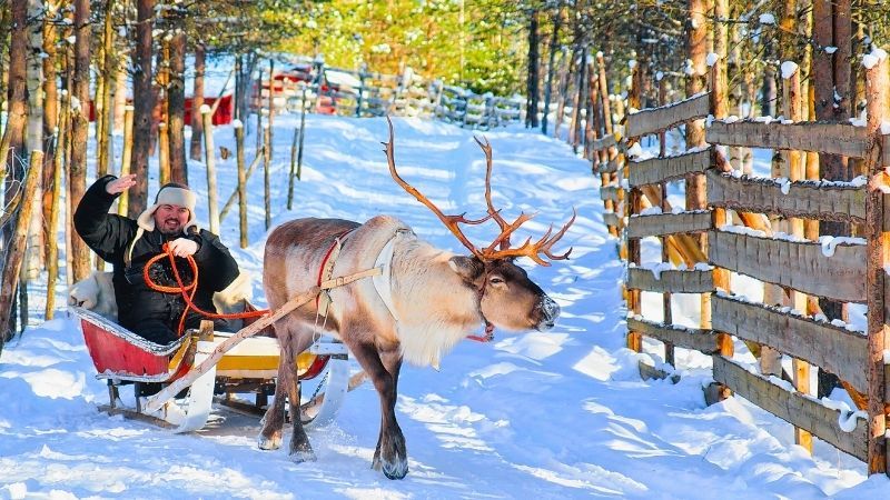 TT Plus Lapland Turu Beyaz Rotalar (3 Gece - Mustaparta Hotel)
