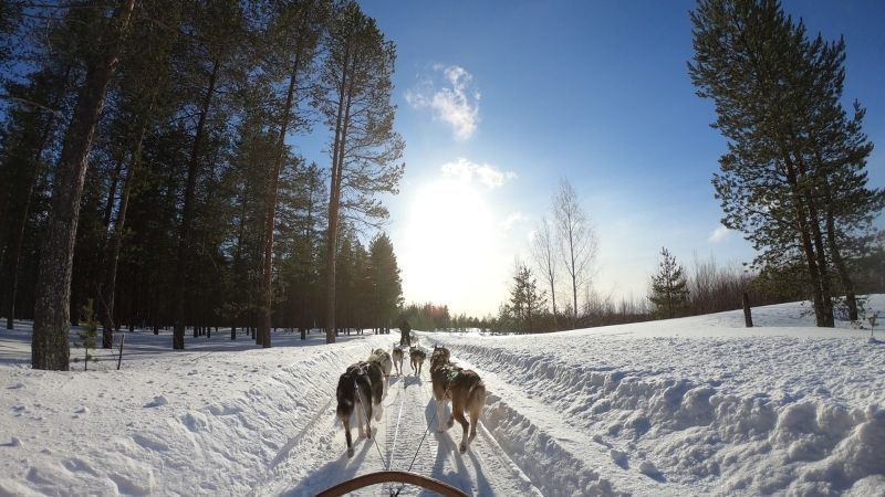 TT Plus Lapland Turu Beyaz Rotalar (3 Gece - Mustaparta Hotel)