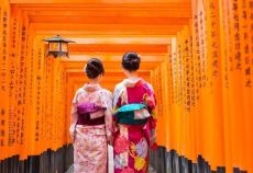 Japonya-Kore Turu Thy İle