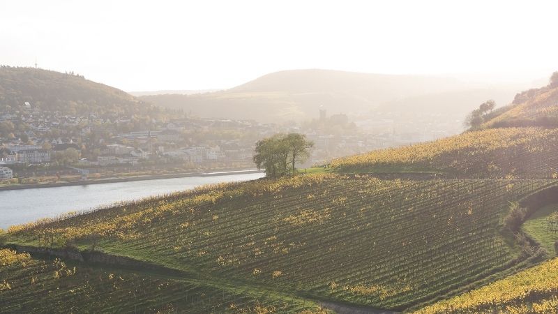 Ankara Çıkışlı Swiss Crown Nehir Gemisi İle Ren Ve Mosel'in Masalsı Şehirleri