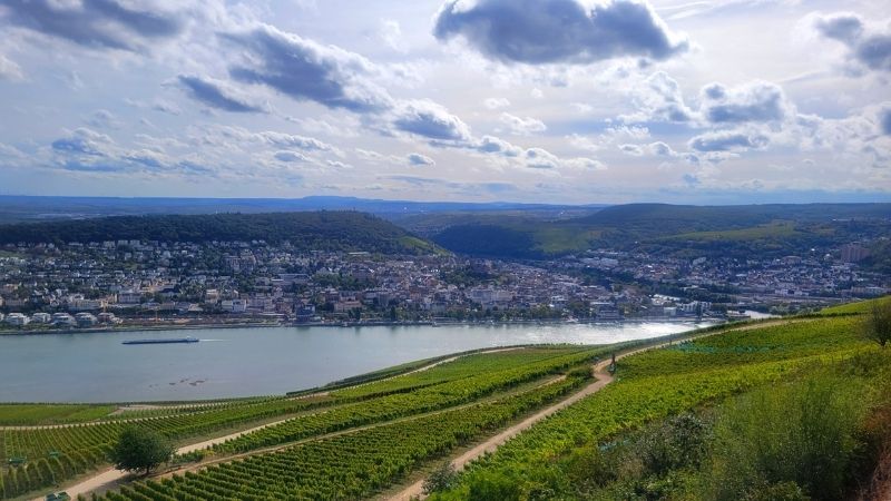 Swiss Crown Nehir Gemisi İle Ren Ve Mosel'in Masalsı Şehirleri V7