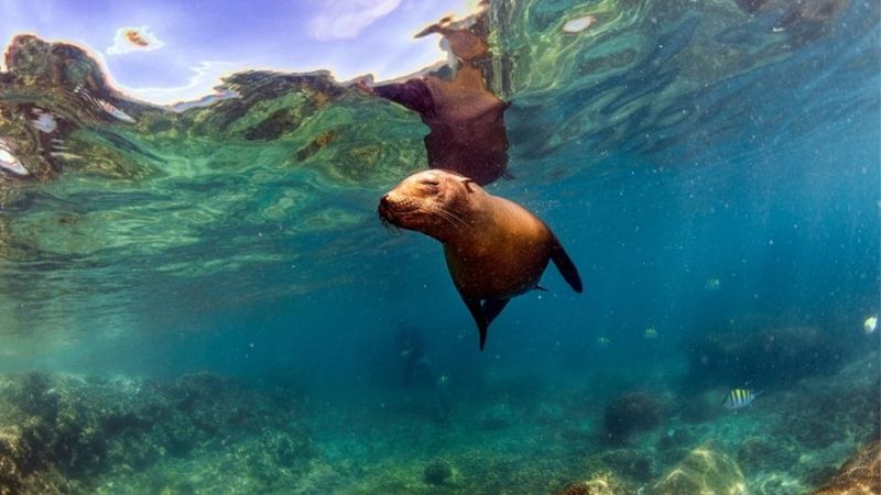 TT Plus Kolombiya & Ekvador & Galapagos Adaları Turu
