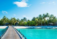 Maldivler & Singapur & Bali Qatar Havayolları ile