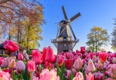 5 Ülke İle Benelüx & Paris & Köln (Promo) Turu Pegasus İle