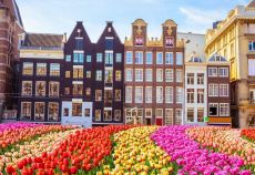 Deluxe Express Benelux & Paris Turu Pegasus İle (Ekstra Turlar Dahil)