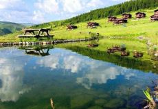 İkonik Karadeniz Yaylaları ve Batum Turu | 4 Gece Konaklamalı Adana Çıkışlı