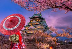 Comfort Japonya Turu THY ile 7 gece (Ekstra Turlar) ve Çay Seremonisi Dahil Yaz Dönemi - Akşam Dönüş Uçuşu