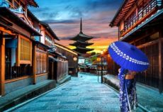 Comfort Japonya & Kore Turu THY ile 8 Gece (Ekstra Turlar) ve Çay Seremonisi Dahil