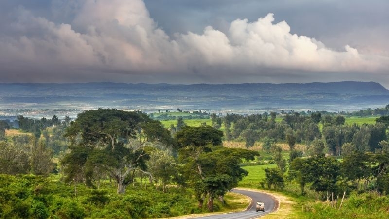 EKSTRA TURLAR DAHİL Comfort Plus Tanzanya & Zanzibar Turu THY ile