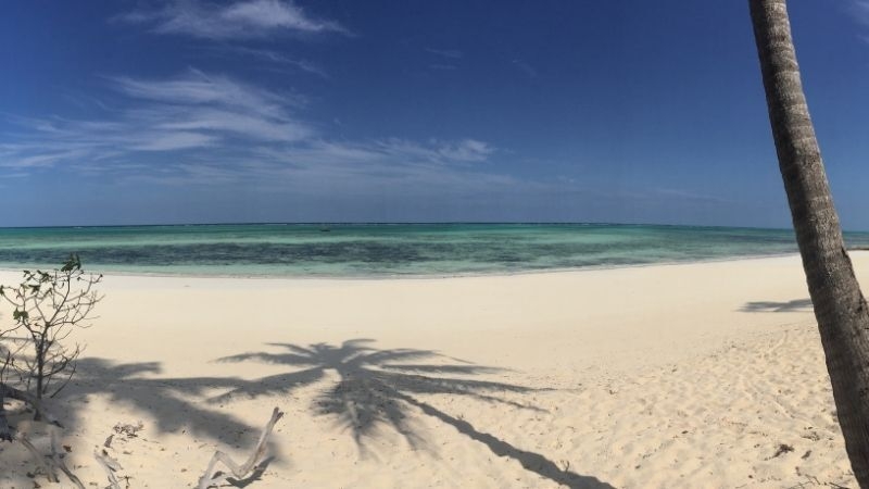 EKSTRA TURLAR DAHİL Comfort Plus Tanzanya & Zanzibar Turu THY ile