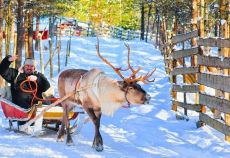 Süper Promo Lapland Turu Beyaz Rotalar (3 Gece - Olof Hotel)