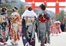 Comfort Japonya Turu Thy ile 7 Gece (Ekstra Turlar Dahil)