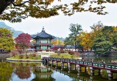 Japonya Kore Turu Asiana Havayolları İle  