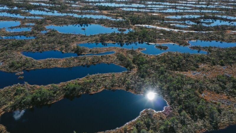 Miami & Orlando Turu Kıyı Rotaları THY ile