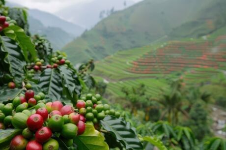 Rüya Ada Bali & Ubud Turu Kurban Bayramı Özel Qatar HY ile 