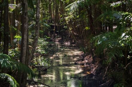 Miami & Orlando Turu Air France ile
