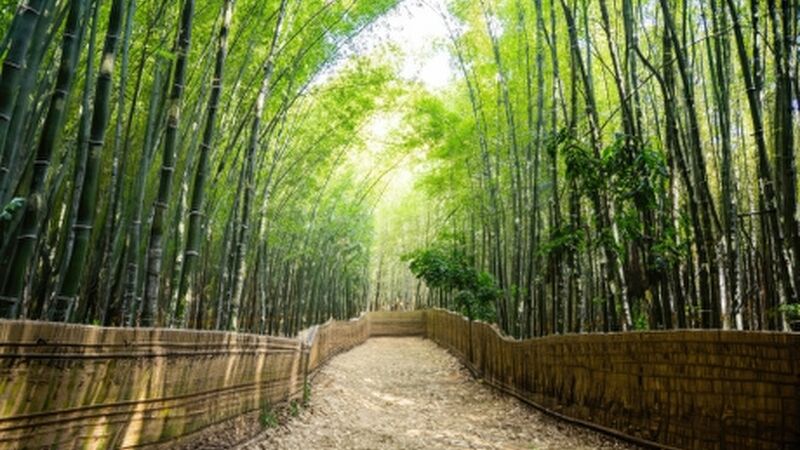 Süper Promo Japonya & Kore Turu Emirates ile