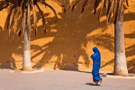 Elegant Fas Turu THY ile