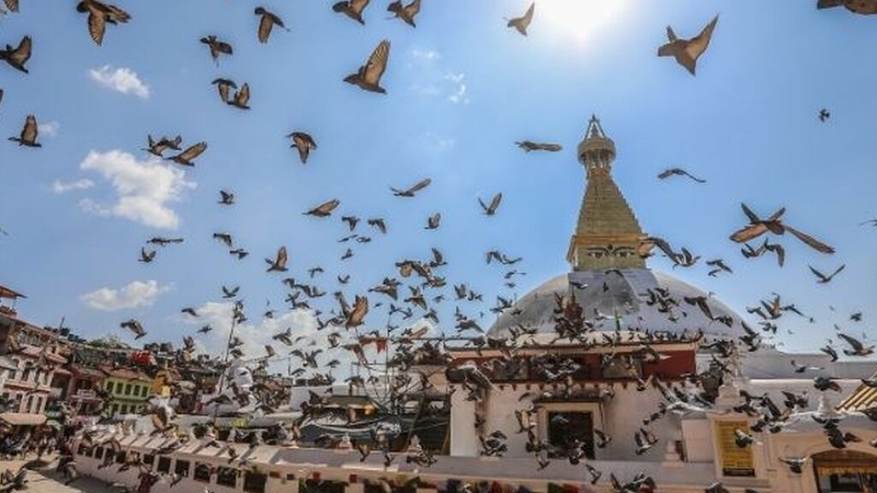 Katmandu & Nepal Turu Jazeera HY İle 